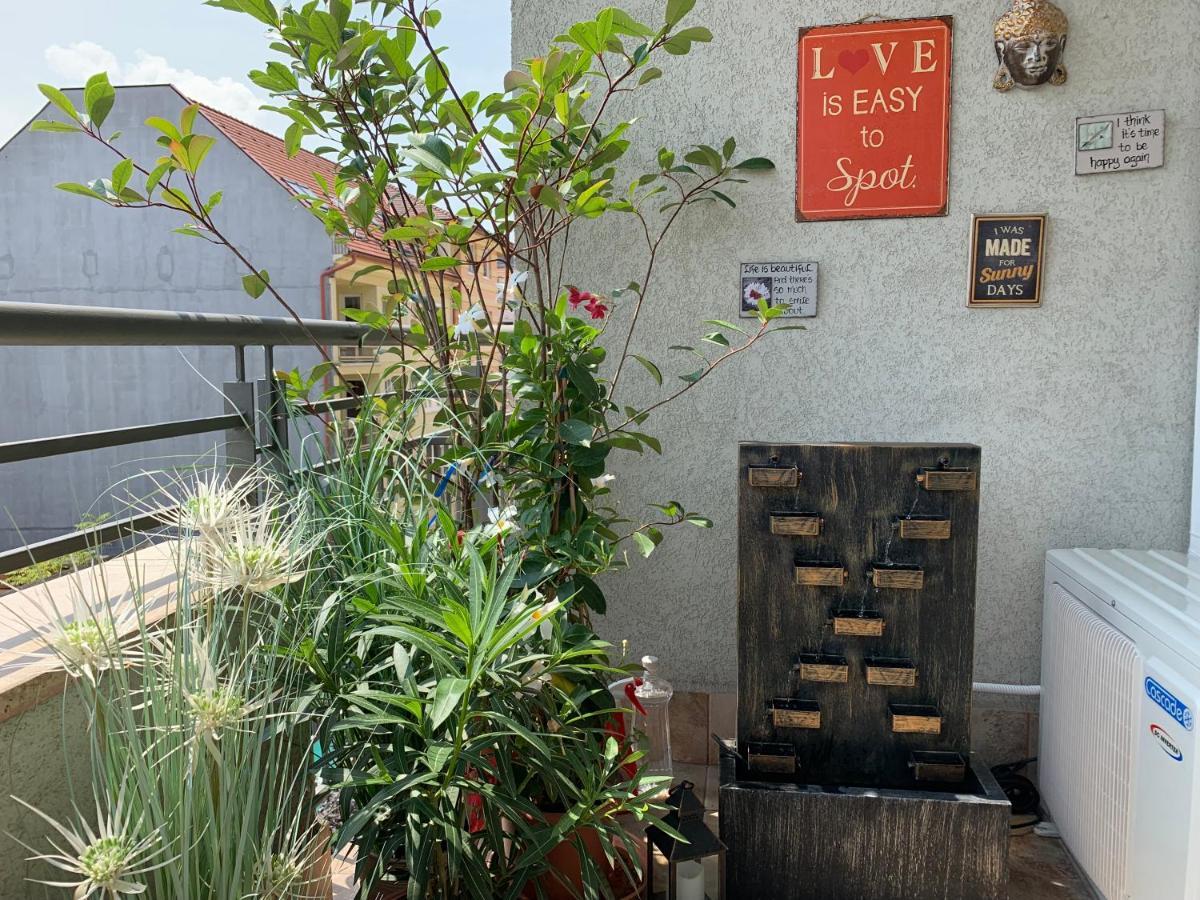 Sunny Deluxe Apt. & Terrace Apartamento *